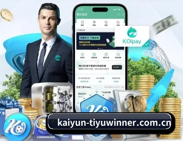 开云入口 APP
