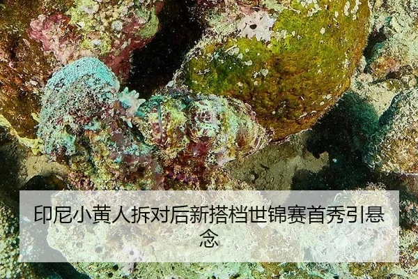 yin-ni-xiao-huang-ren-chai-dui-hou-xin-da-dang-shi-jin-sai-shou-xiu-yin-xuan-nian-3-834.jpg