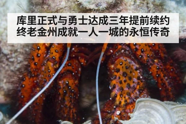 库里正式与勇士达成三年提前续约终老金州成就一人一城的永恒传奇